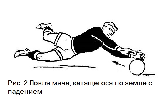 Ловля мяча в падении. Обучение игре в футбол