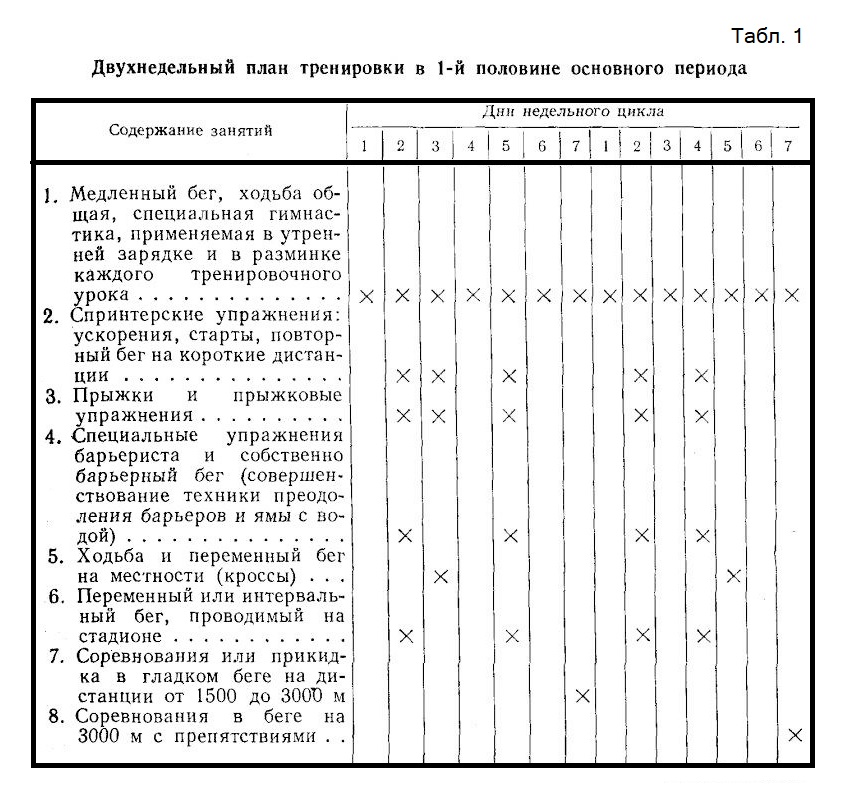 двухнедельный цикл тренировки